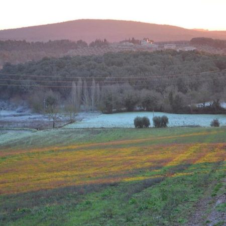 Podere Ficareto Farm Ancaiano Zewnętrze zdjęcie