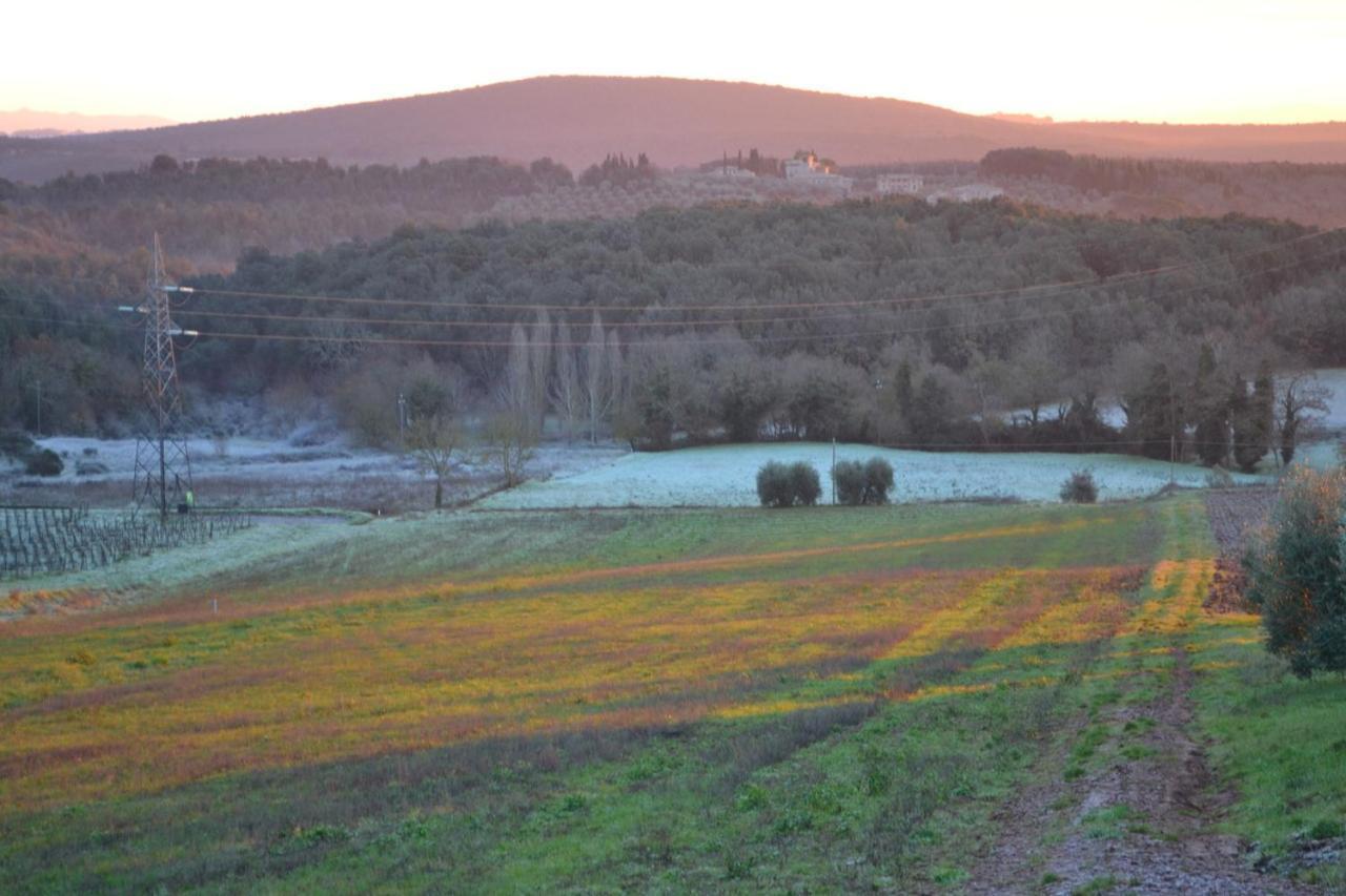 Podere Ficareto Farm Ancaiano Zewnętrze zdjęcie