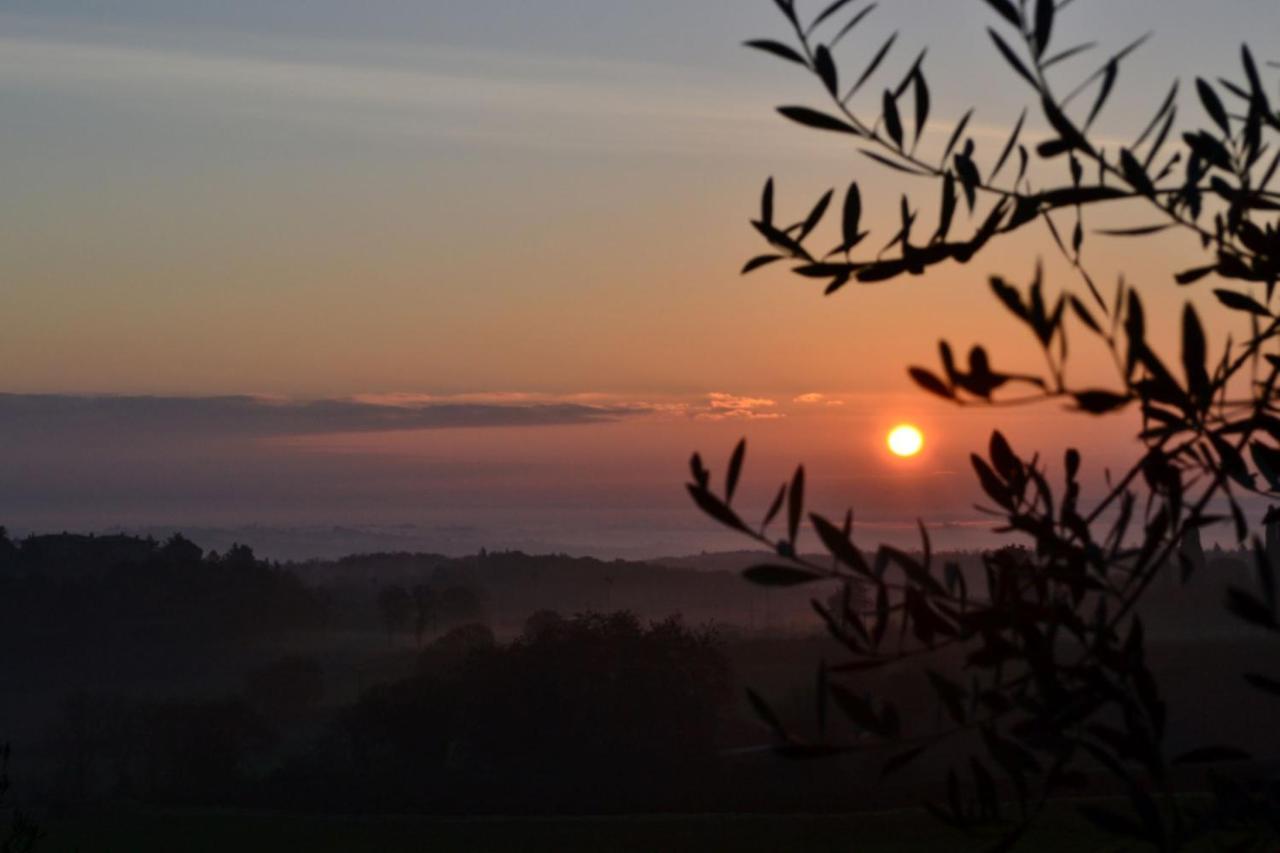 Podere Ficareto Farm Ancaiano Zewnętrze zdjęcie