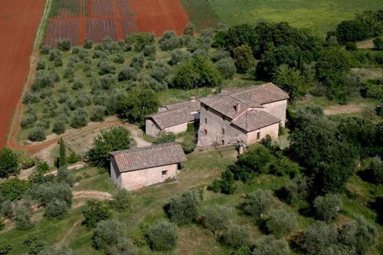 Podere Ficareto Farm Ancaiano Zewnętrze zdjęcie